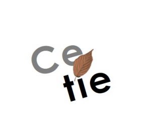 CETIE